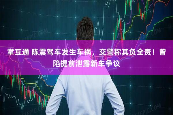 掌互通 陈震驾车发生车祸，交警称其负全责！曾陷提前泄露新车争议