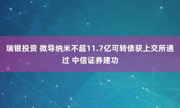 瑞银投资 微导纳米不超11.7亿可转债获上交所通过 中信证券建功