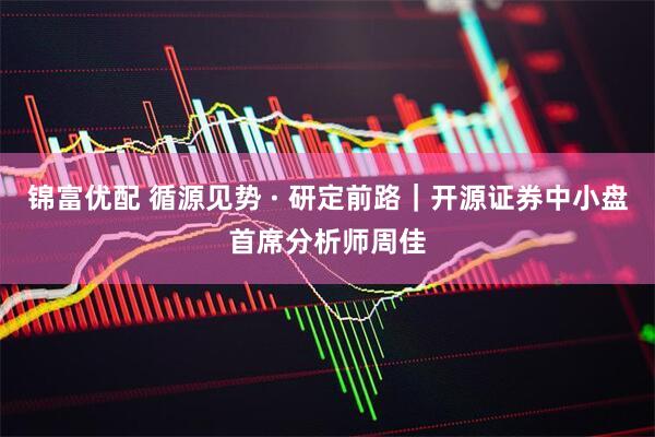锦富优配 循源见势 · 研定前路｜开源证券中小盘首席分析师周佳
